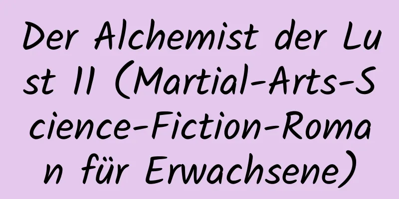 Der Alchemist der Lust 11 (Martial-Arts-Science-Fiction-Roman für Erwachsene)