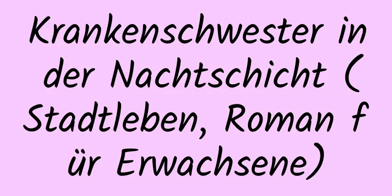 Krankenschwester in der Nachtschicht (Stadtleben, Roman für Erwachsene)