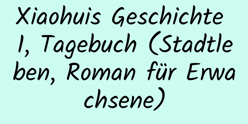 Xiaohuis Geschichte 1, Tagebuch (Stadtleben, Roman für Erwachsene)