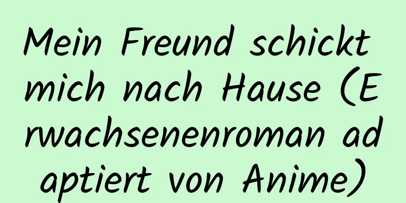 Mein Freund schickt mich nach Hause (Erwachsenenroman adaptiert von Anime)