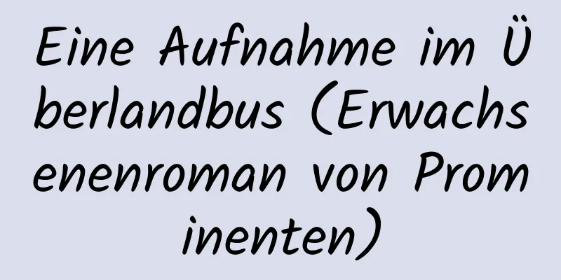 Eine Aufnahme im Überlandbus (Erwachsenenroman von Prominenten)