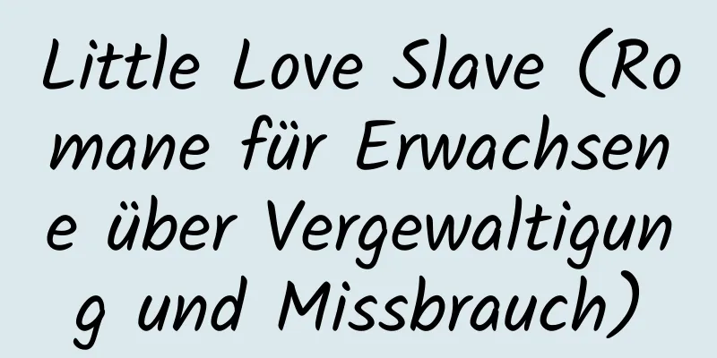 Little Love Slave (Romane für Erwachsene über Vergewaltigung und Missbrauch)