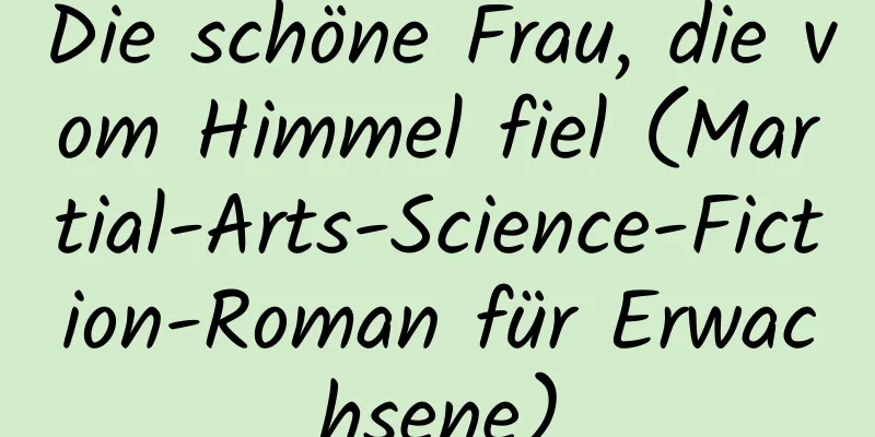 Die schöne Frau, die vom Himmel fiel (Martial-Arts-Science-Fiction-Roman für Erwachsene)