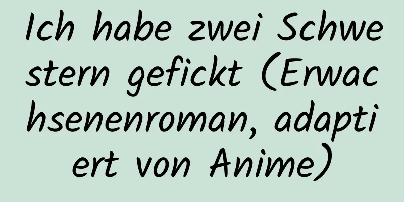 Ich habe zwei Schwestern gefickt (Erwachsenenroman, adaptiert von Anime)