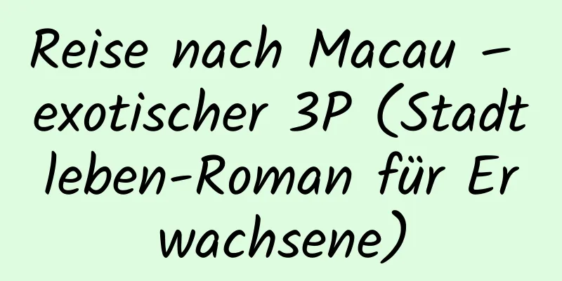 Reise nach Macau – exotischer 3P (Stadtleben-Roman für Erwachsene)