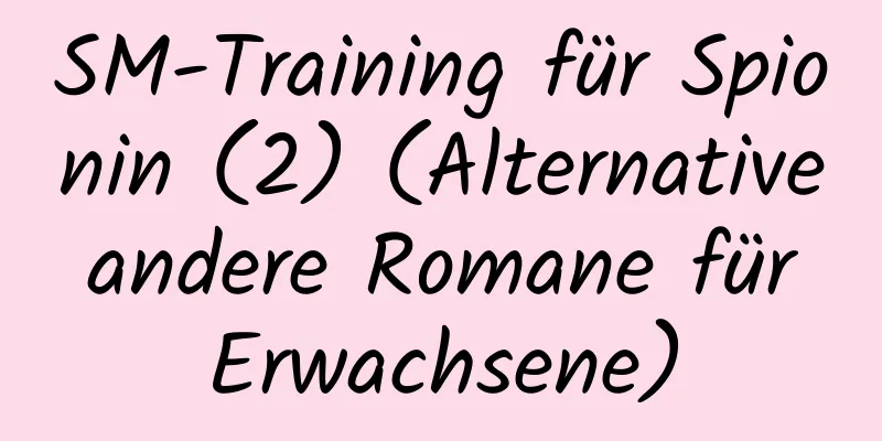 SM-Training für Spionin (2) (Alternative andere Romane für Erwachsene)