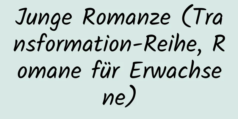 Junge Romanze (Transformation-Reihe, Romane für Erwachsene)