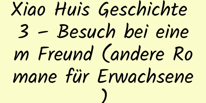 Xiao Huis Geschichte 3 – Besuch bei einem Freund (andere Romane für Erwachsene)