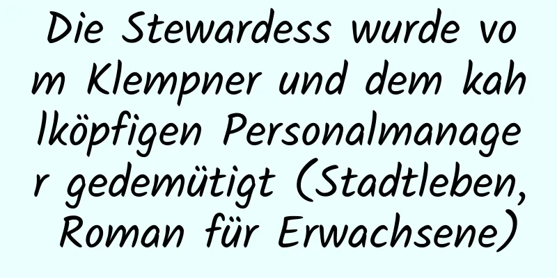 Die Stewardess wurde vom Klempner und dem kahlköpfigen Personalmanager gedemütigt (Stadtleben, Roman für Erwachsene)