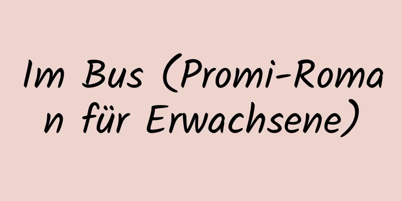 Im Bus (Promi-Roman für Erwachsene)