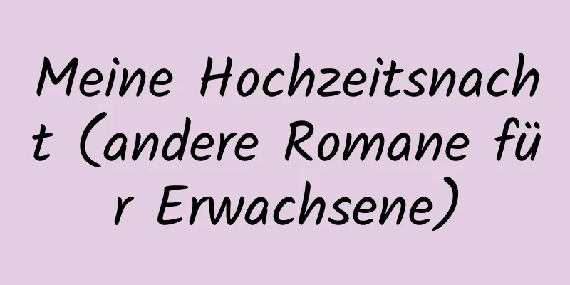 Meine Hochzeitsnacht (andere Romane für Erwachsene)