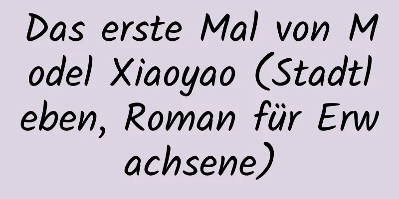 Das erste Mal von Model Xiaoyao (Stadtleben, Roman für Erwachsene)