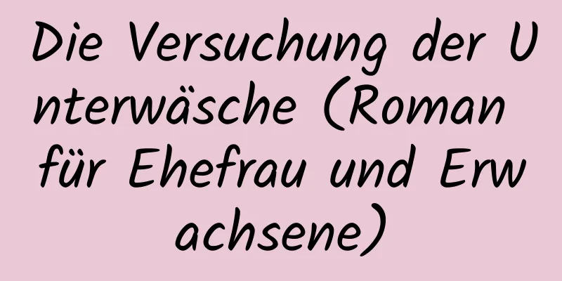 Die Versuchung der Unterwäsche (Roman für Ehefrau und Erwachsene)