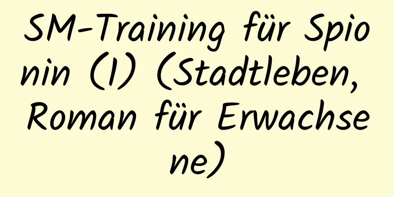 SM-Training für Spionin (1) (Stadtleben, Roman für Erwachsene)