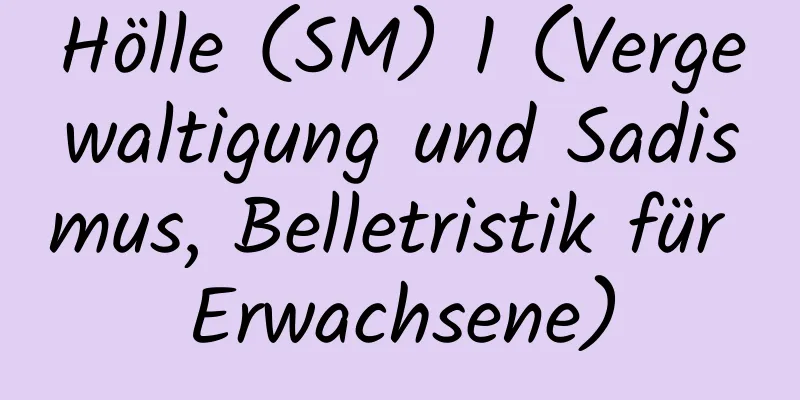 Hölle (SM) 1 (Vergewaltigung und Sadismus, Belletristik für Erwachsene)