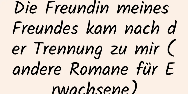 Die Freundin meines Freundes kam nach der Trennung zu mir (andere Romane für Erwachsene)