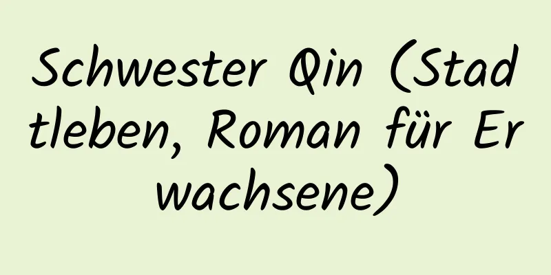 Schwester Qin (Stadtleben, Roman für Erwachsene)