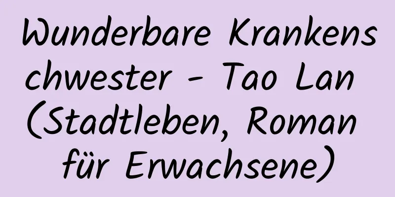 Wunderbare Krankenschwester - Tao Lan (Stadtleben, Roman für Erwachsene)