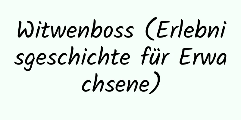 Witwenboss (Erlebnisgeschichte für Erwachsene)