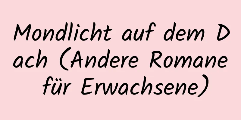 Mondlicht auf dem Dach (Andere Romane für Erwachsene)