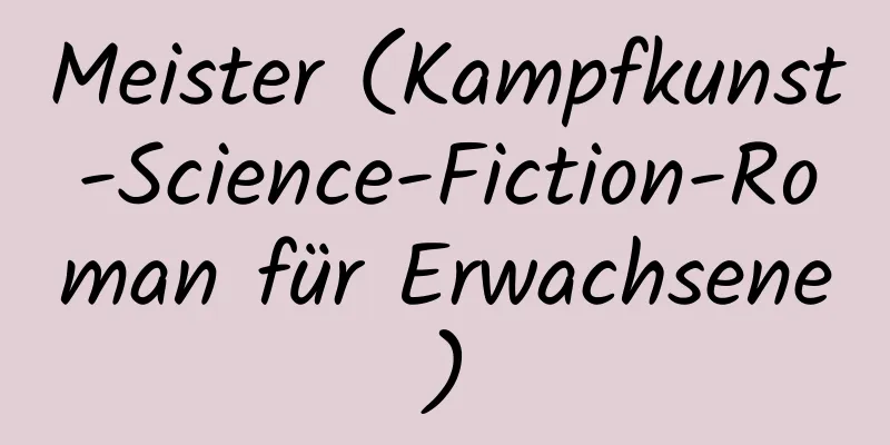 Meister (Kampfkunst-Science-Fiction-Roman für Erwachsene)