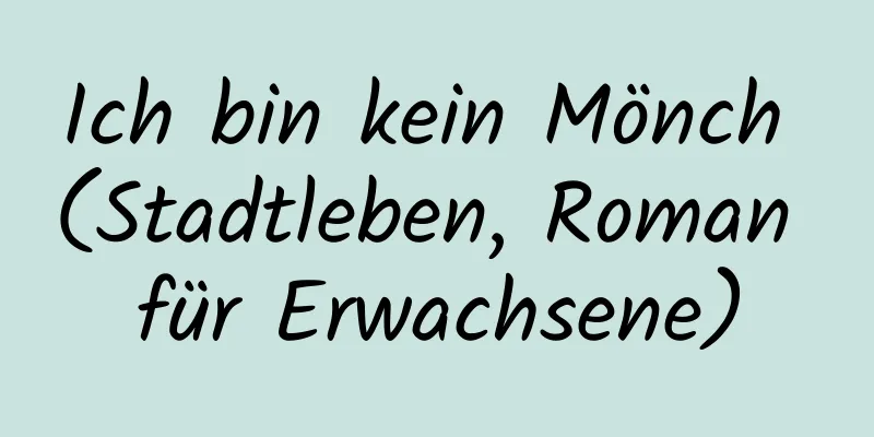 Ich bin kein Mönch (Stadtleben, Roman für Erwachsene)