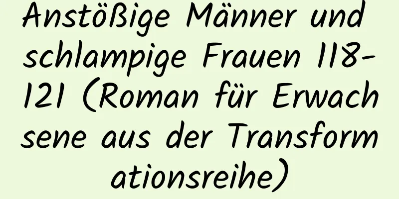 Anstößige Männer und schlampige Frauen 118-121 (Roman für Erwachsene aus der Transformationsreihe)