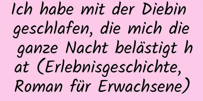 Ich habe mit der Diebin geschlafen, die mich die ganze Nacht belästigt hat (Erlebnisgeschichte, Roman für Erwachsene)