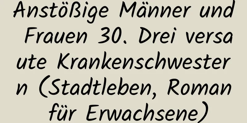 Anstößige Männer und Frauen 30. Drei versaute Krankenschwestern (Stadtleben, Roman für Erwachsene)