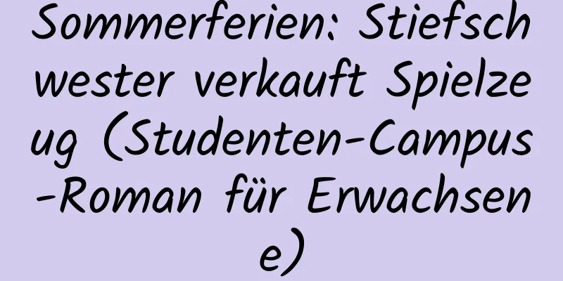 Sommerferien: Stiefschwester verkauft Spielzeug (Studenten-Campus-Roman für Erwachsene)