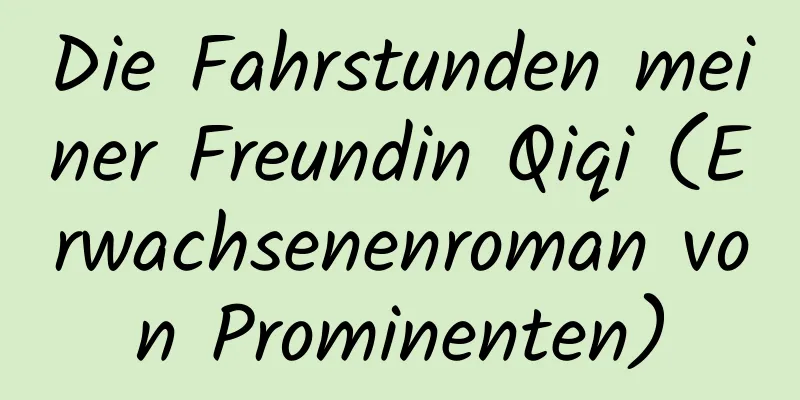 Die Fahrstunden meiner Freundin Qiqi (Erwachsenenroman von Prominenten)