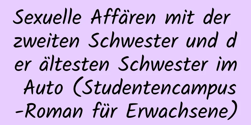 Sexuelle Affären mit der zweiten Schwester und der ältesten Schwester im Auto (Studentencampus-Roman für Erwachsene)