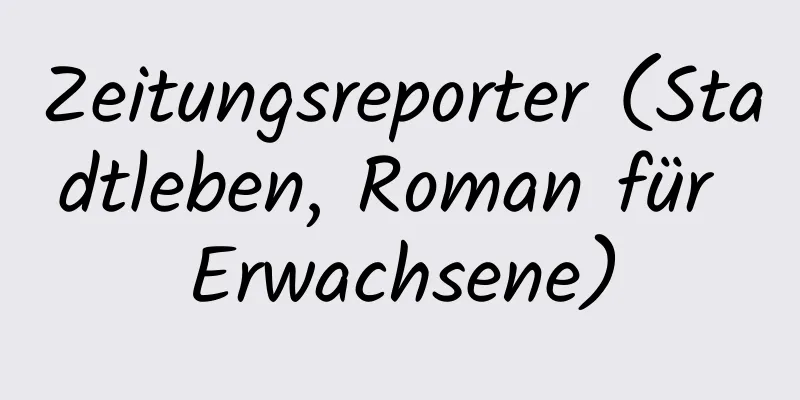 Zeitungsreporter (Stadtleben, Roman für Erwachsene)