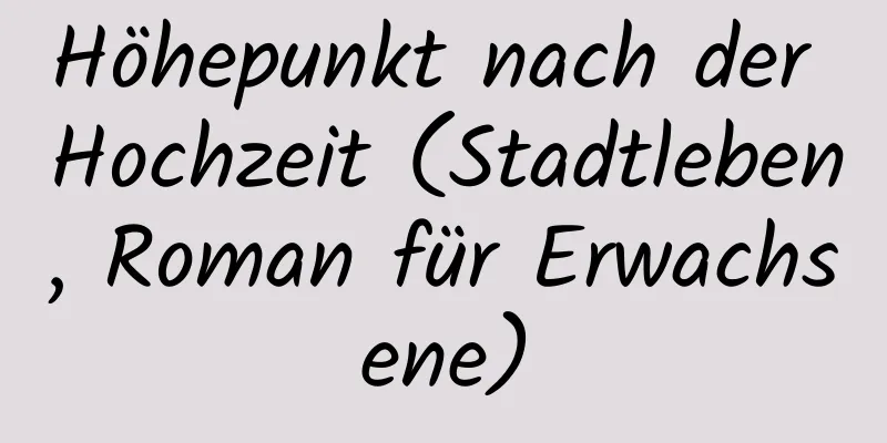 Höhepunkt nach der Hochzeit (Stadtleben, Roman für Erwachsene)