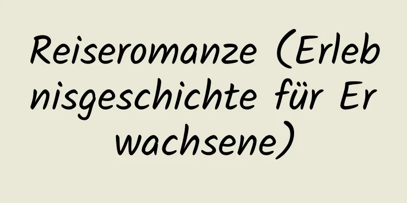 Reiseromanze (Erlebnisgeschichte für Erwachsene)