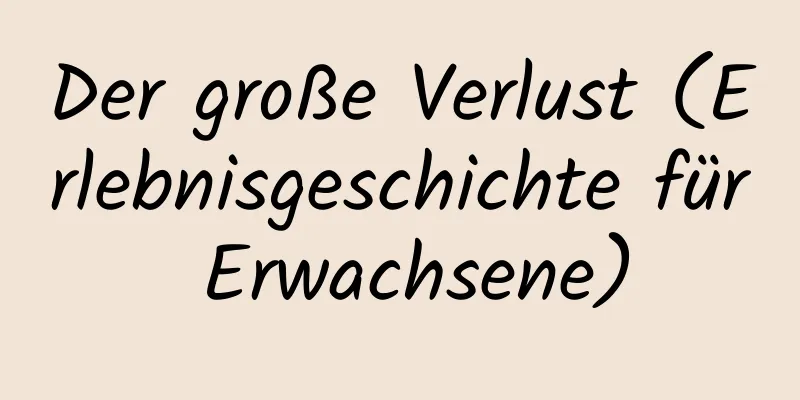 Der große Verlust (Erlebnisgeschichte für Erwachsene)