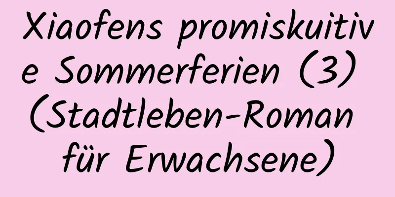 Xiaofens promiskuitive Sommerferien (3) (Stadtleben-Roman für Erwachsene)