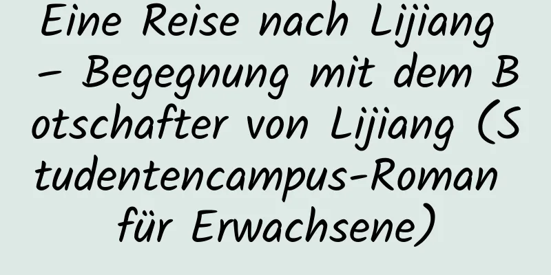 Eine Reise nach Lijiang – Begegnung mit dem Botschafter von Lijiang (Studentencampus-Roman für Erwachsene)