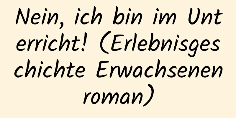 Nein, ich bin im Unterricht! (Erlebnisgeschichte Erwachsenenroman)