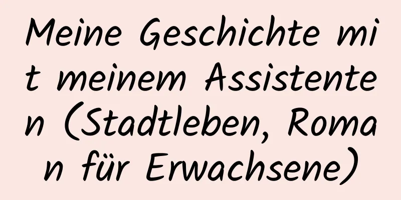 Meine Geschichte mit meinem Assistenten (Stadtleben, Roman für Erwachsene)