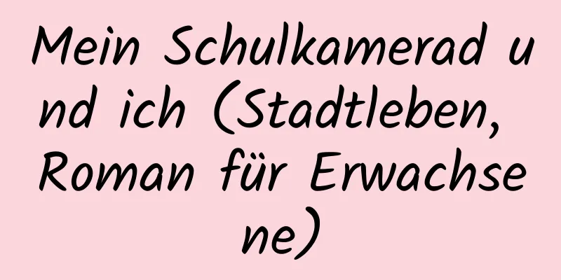 Mein Schulkamerad und ich (Stadtleben, Roman für Erwachsene)