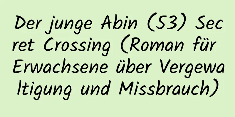 Der junge Abin (53) Secret Crossing (Roman für Erwachsene über Vergewaltigung und Missbrauch)