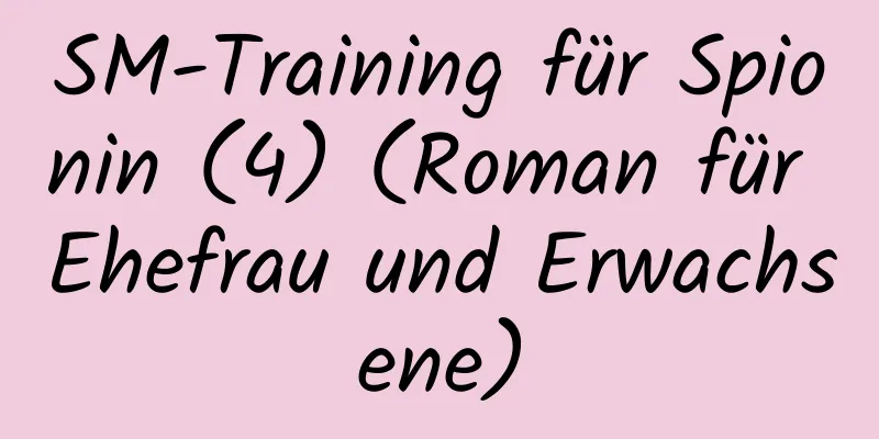 SM-Training für Spionin (4) (Roman für Ehefrau und Erwachsene)