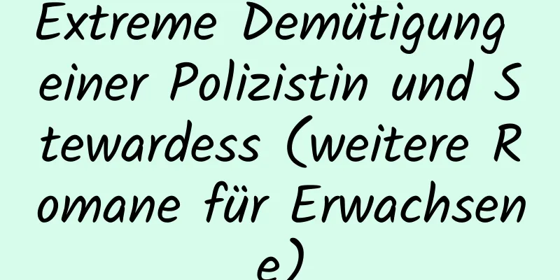 Extreme Demütigung einer Polizistin und Stewardess (weitere Romane für Erwachsene)