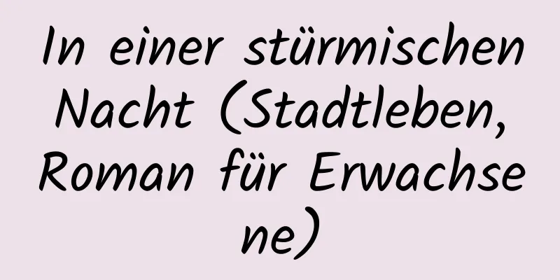 In einer stürmischen Nacht (Stadtleben, Roman für Erwachsene)