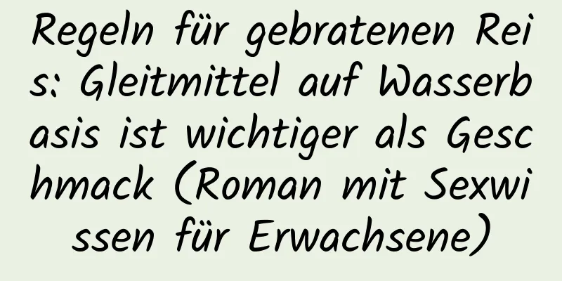 Regeln für gebratenen Reis: Gleitmittel auf Wasserbasis ist wichtiger als Geschmack (Roman mit Sexwissen für Erwachsene)