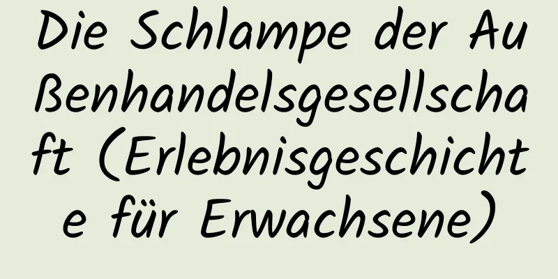 Die Schlampe der Außenhandelsgesellschaft (Erlebnisgeschichte für Erwachsene)