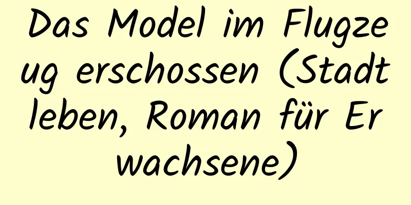 Das Model im Flugzeug erschossen (Stadtleben, Roman für Erwachsene)