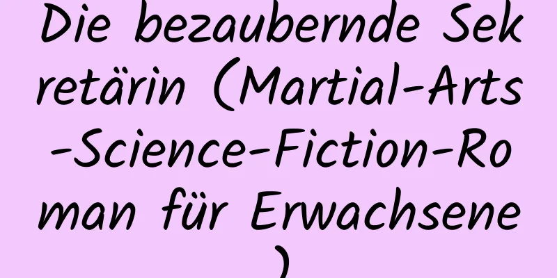 Die bezaubernde Sekretärin (Martial-Arts-Science-Fiction-Roman für Erwachsene)