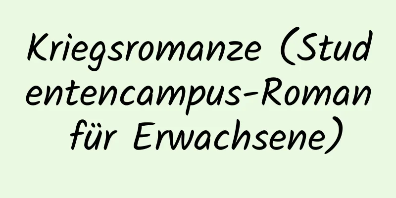 Kriegsromanze (Studentencampus-Roman für Erwachsene)